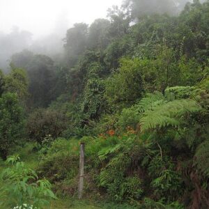 Grutas de Cacahuamilpa y Taxco