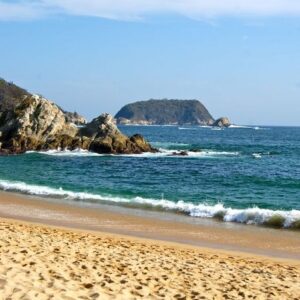 Bioluminiscencia –  Oaxaca