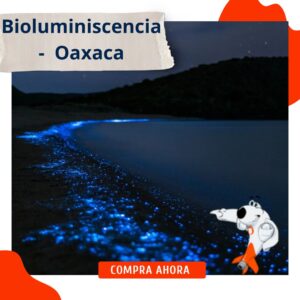 Bioluminiscencia –  Oaxaca