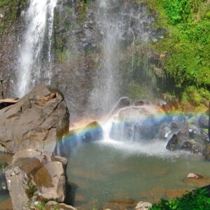 Cascadas Paraíso en Honey