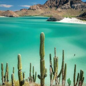 Baja Clásico 5 días