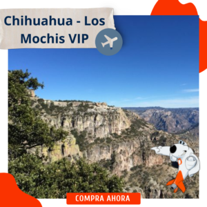 Chihuahua Los Mochis VIP