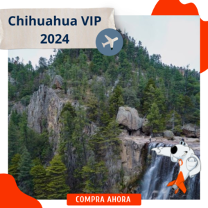 Chihuahua VIP 2024